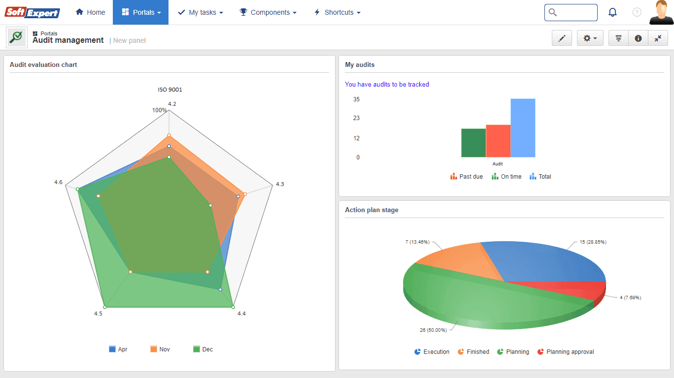 4 - Audit follow-up and monitoring.png