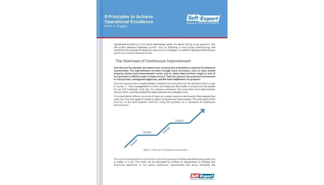 8 Principles to Achieve Operational Excellence 1.webp