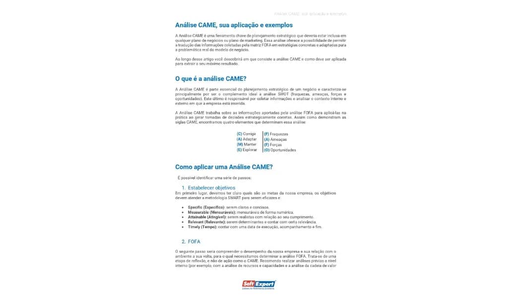 Análise CAME, aplicações e exemplo 1.webp