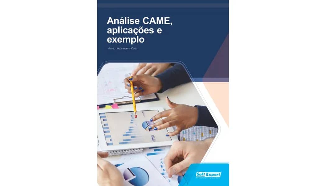 Análise CAME, aplicações e exemplo.webp