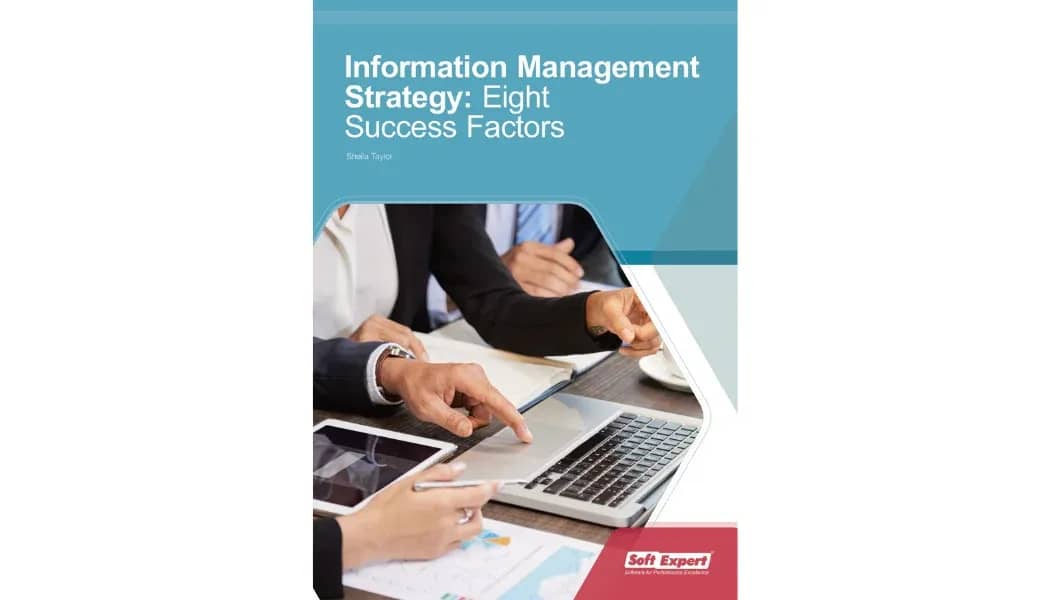 Information Management Strategy Eight Success Factors.webp