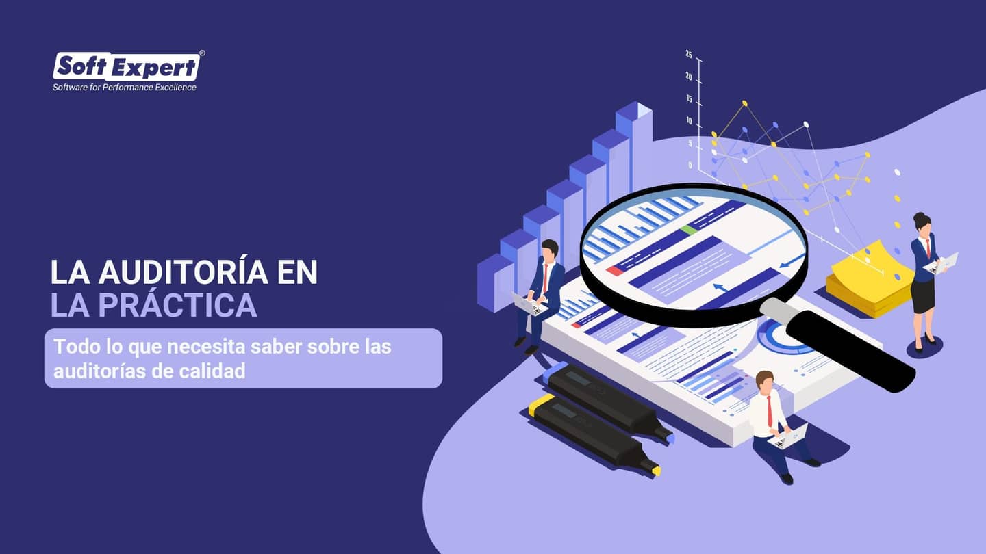 La_auditoria_en_la_pratica_0a17863fe4_page-0001.jpg