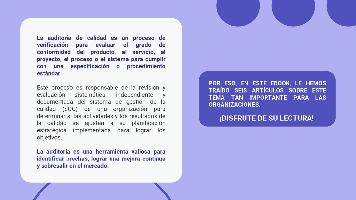 La_auditoria_en_la_pratica_0a17863fe4_page-0002.jpg