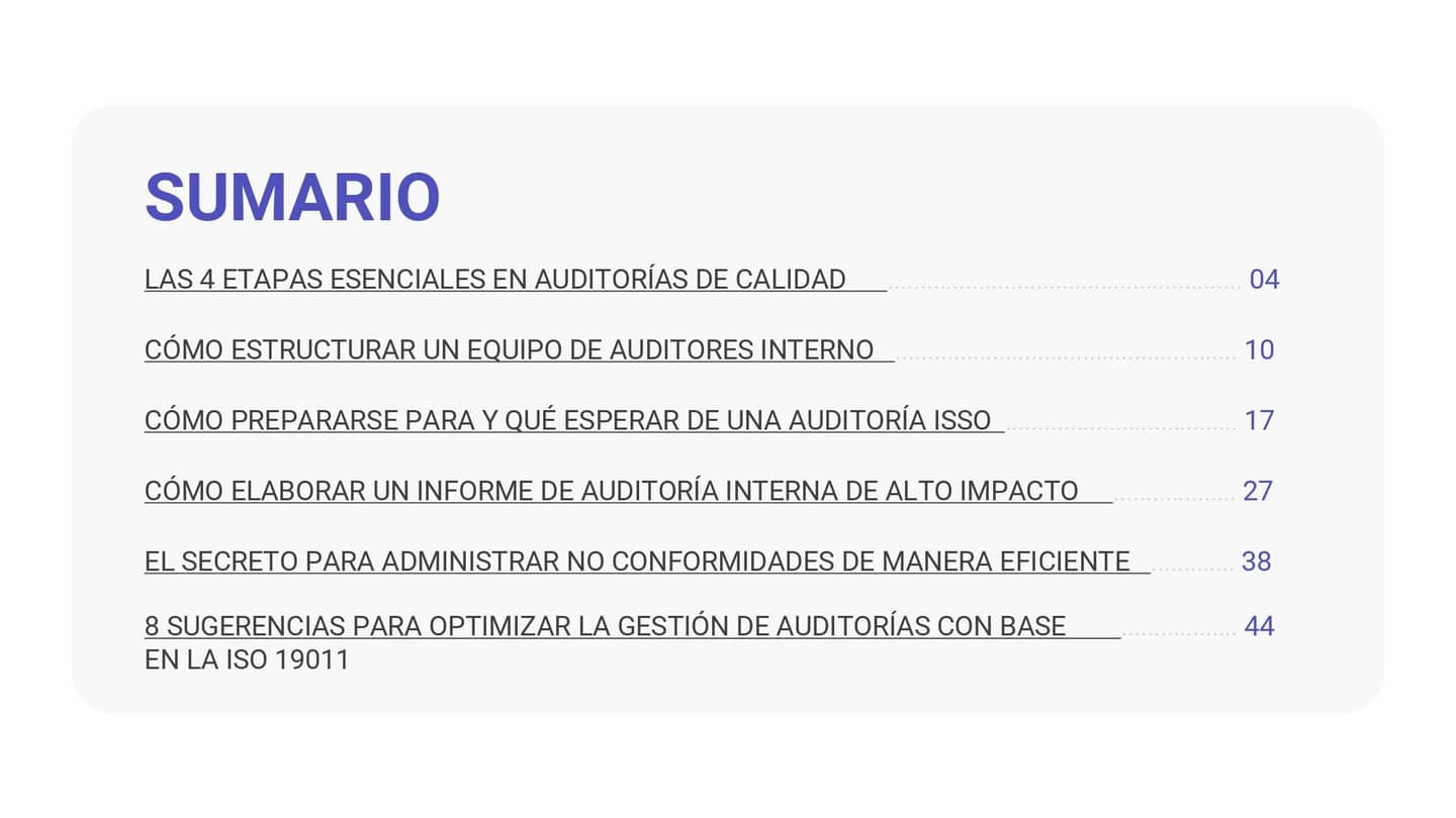 La_auditoria_en_la_pratica_0a17863fe4_page-0003.jpg