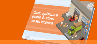 Overview-Como-aprimorar-gestao-ativos-empresa-PT.png