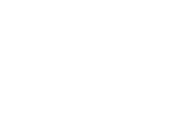 hermes-pardini-logo 1.png