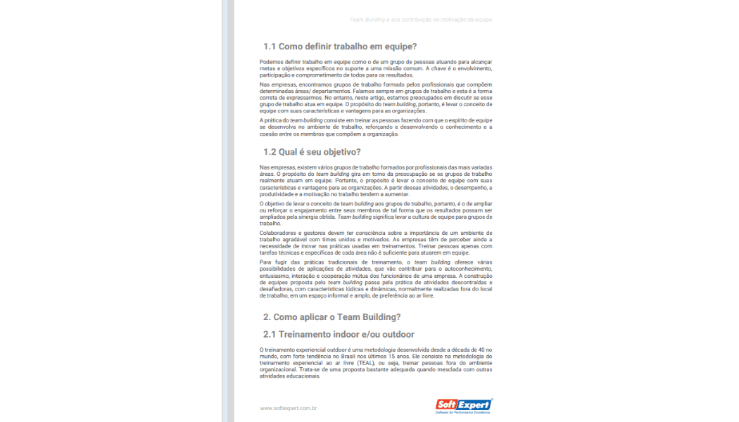 team_building_motivacao_equipe_ 2.png