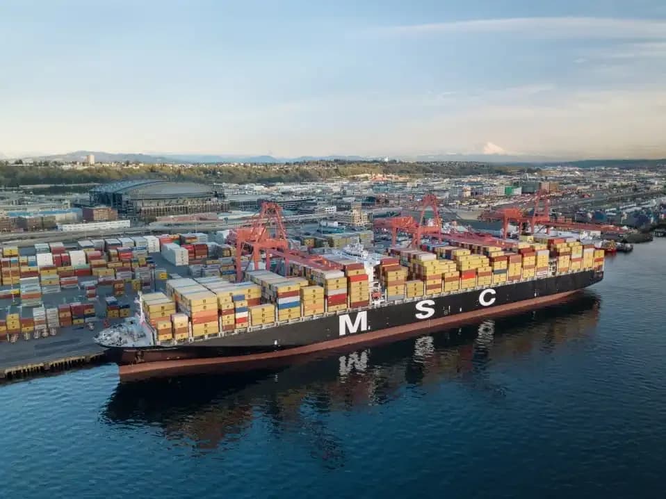 MSC-navio.webp