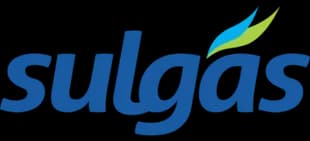 Over 20 business processes automated company logo
