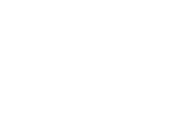 Standardization and Optimization company logo