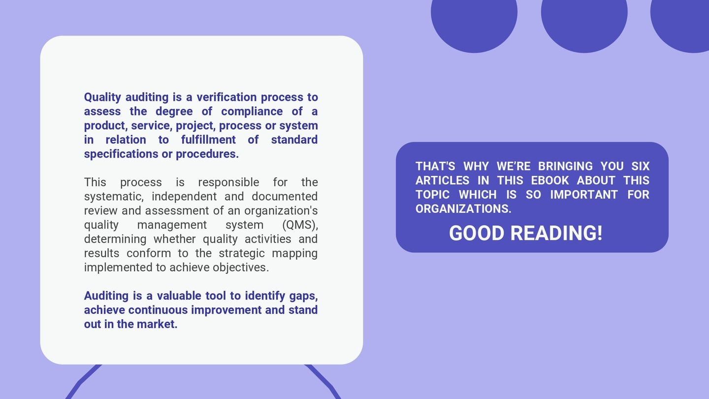 Audit_in_practice_c1435fd621_page-0002.jpg