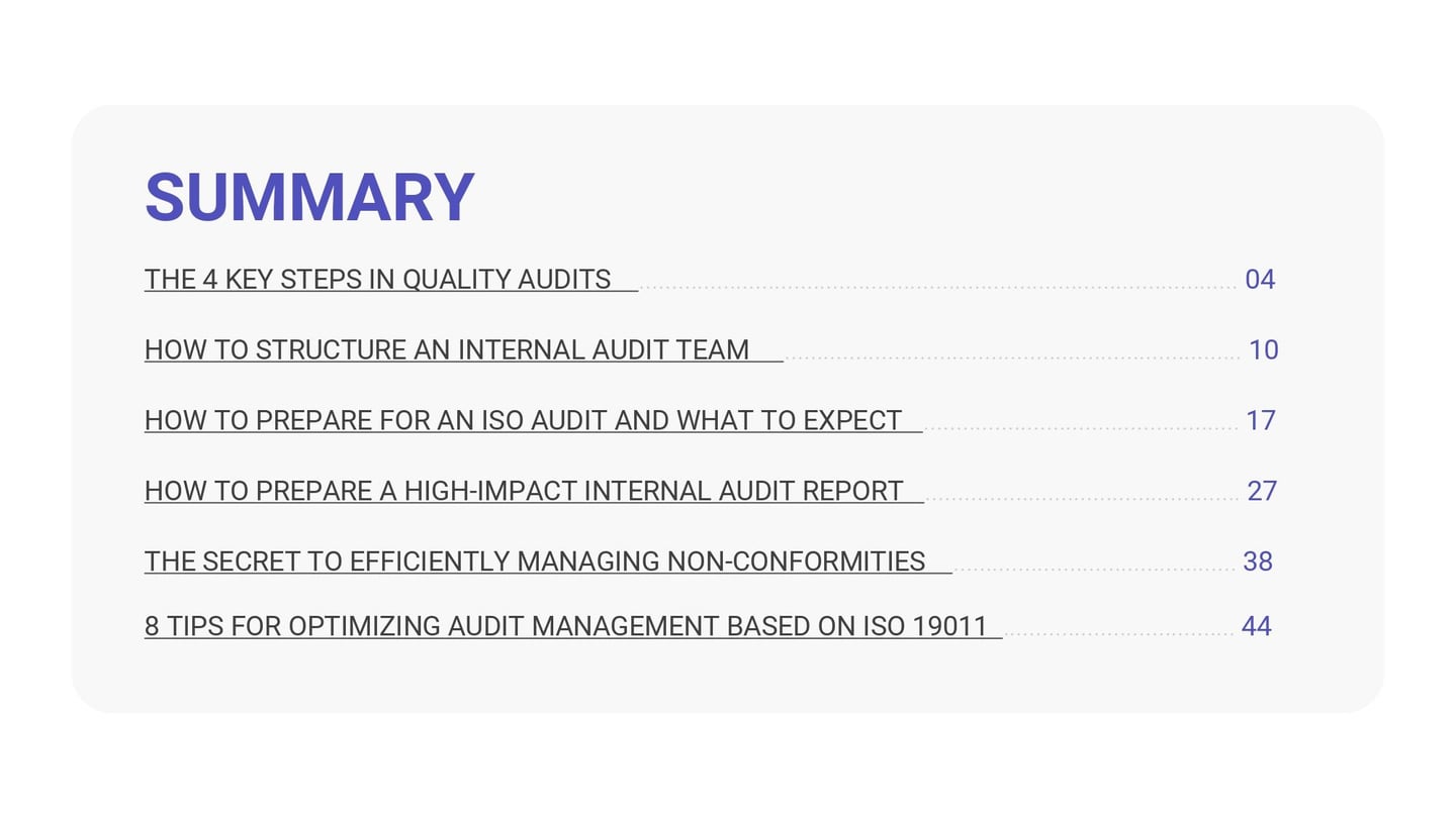 Audit_in_practice_c1435fd621_page-0003.jpg