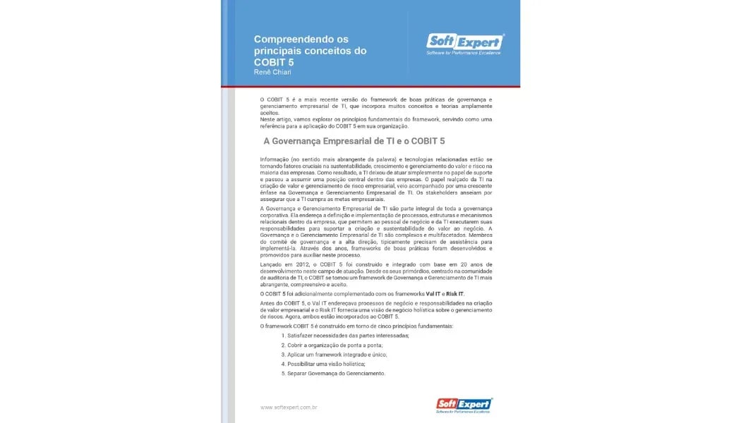 Compreendendo os principais conceitos do COBIT® 5 2.webp