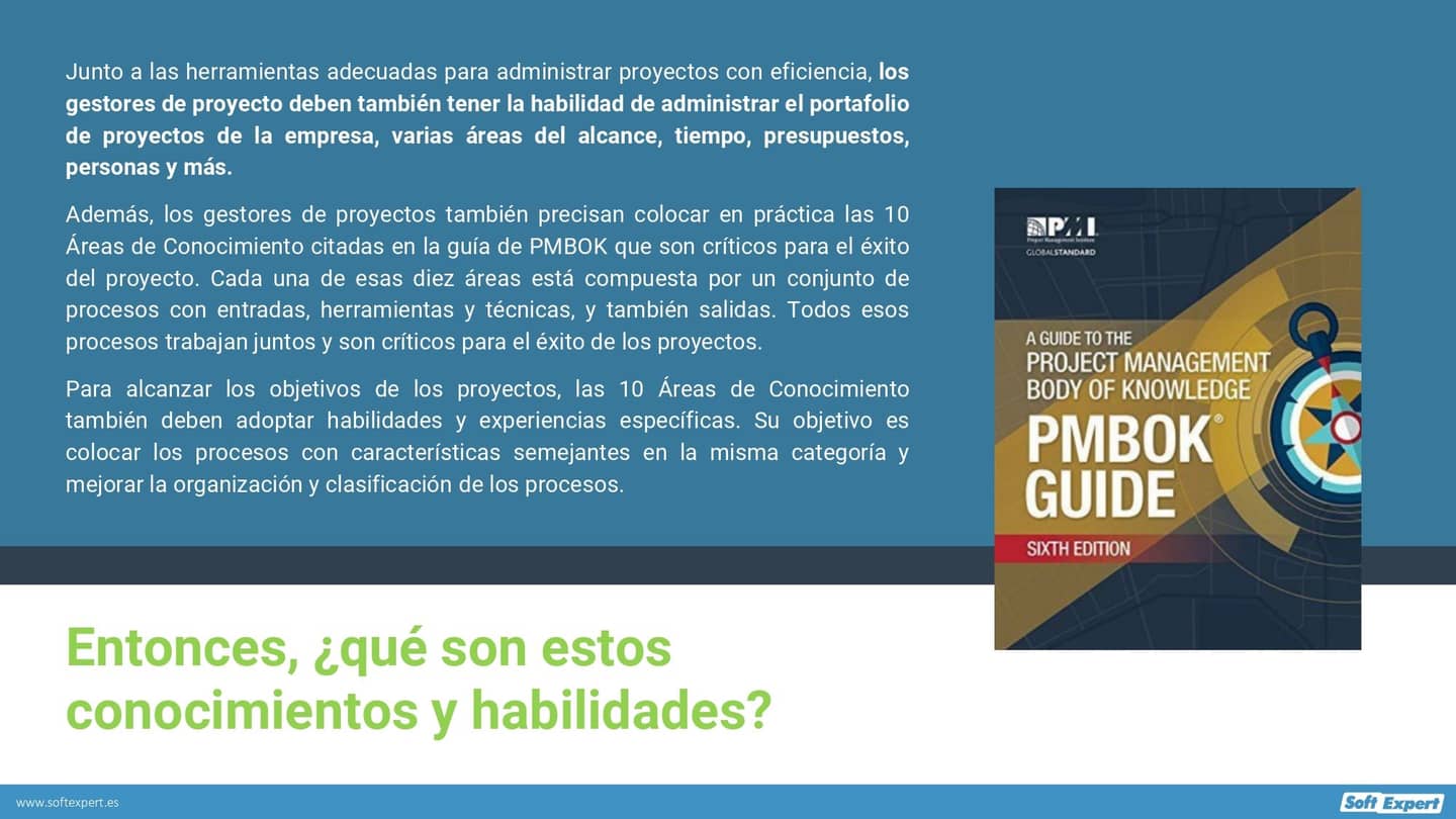 10_Conocimientos_Habilidades_Gerente_Proyecto_Debe_Poseer_bef7480733_page-0003.jpg