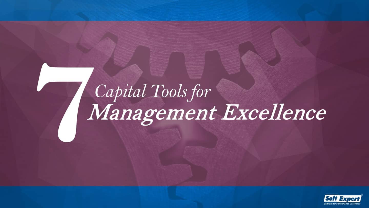 7_Capital_Tools_for_Management_Excellence_b656307725_page-0001.jpg