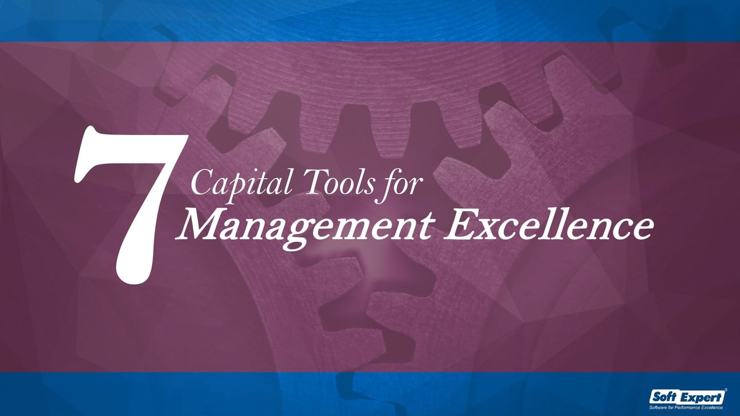 7_Capital_Tools_for_Management_Excellence_b656307725_page-0001.jpg