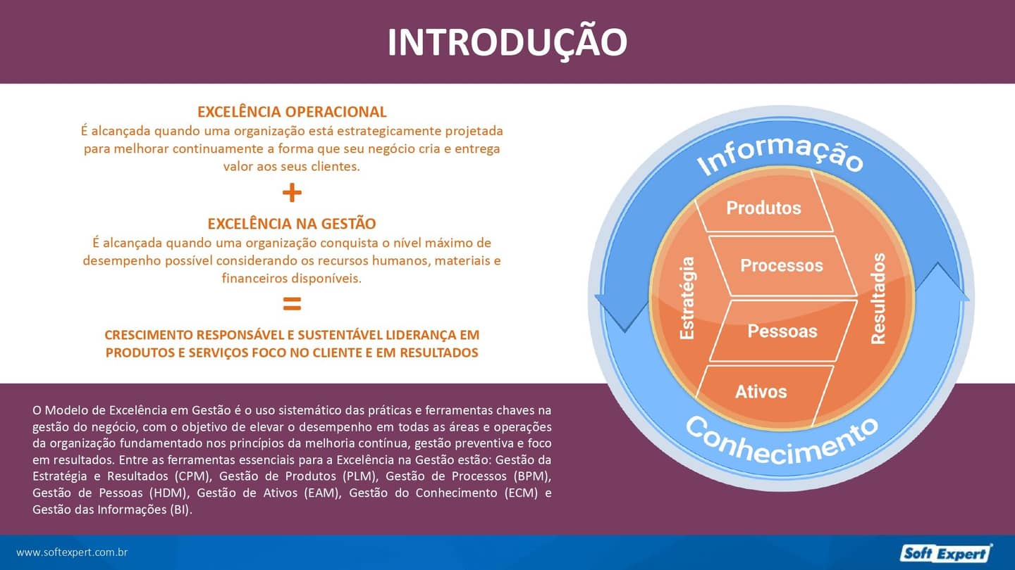 7-Ferramentas-Capitais-para-Excelencia-na-Gestao_page-0002.jpg