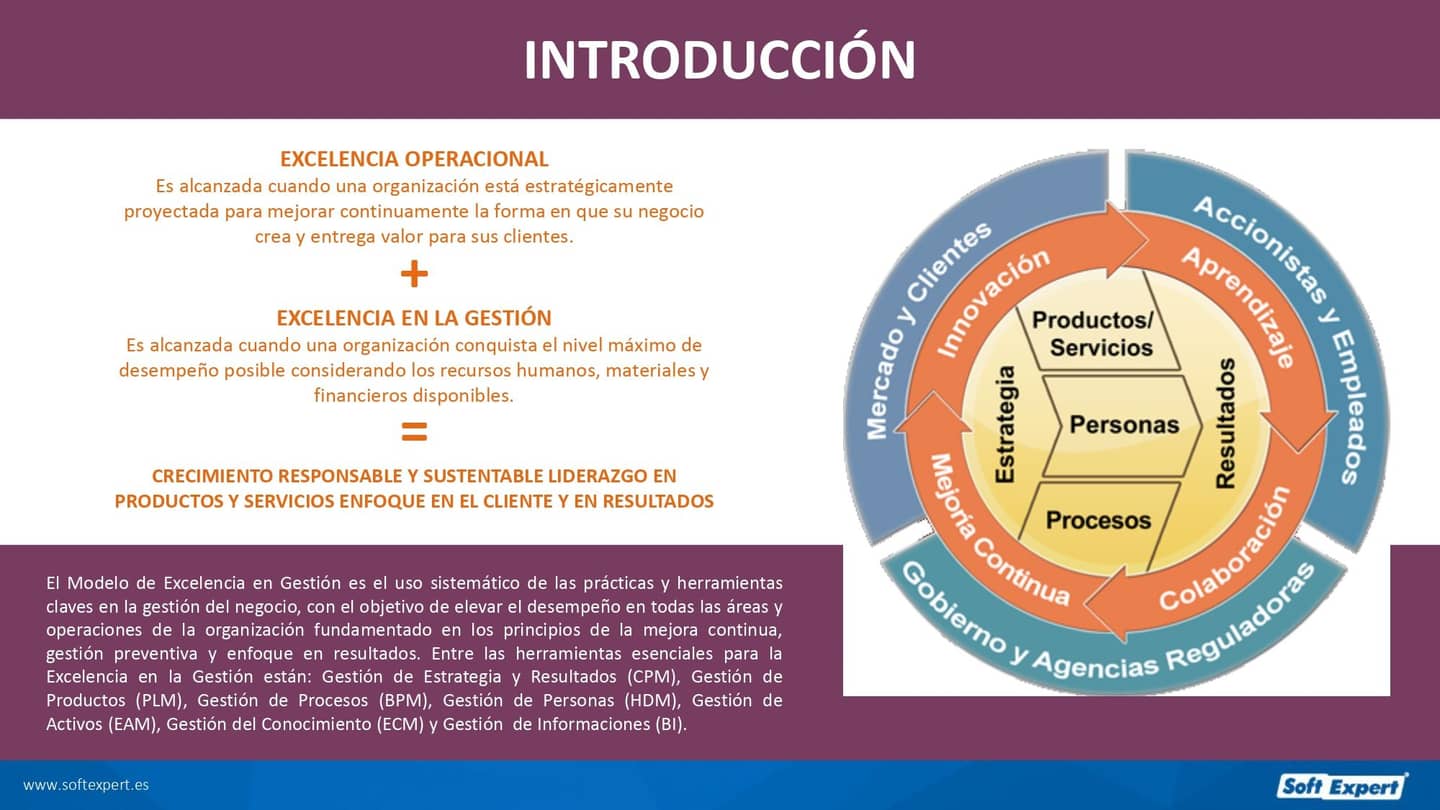 7_Herramientas_Capitales_para_la_Excelencia_en_la_Gestion_54a200758a_page-0002.jpg