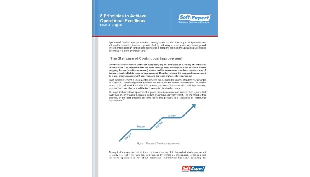 8 Principles to Achieve Operational Excellence 1.webp