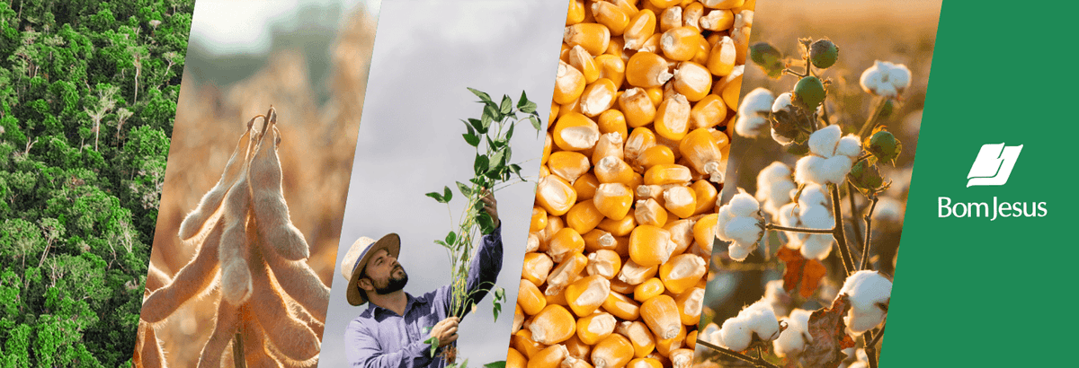 Captura de tela 2025-03-11 162255.png