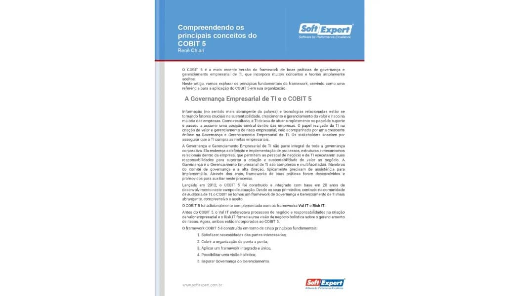 Compreendendo os principais conceitos do COBIT® 5 2.webp