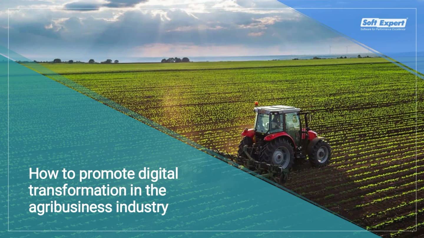 How_promote_digital_transformation_agribusiness_industry_6ab19807d3_page-0001.webp