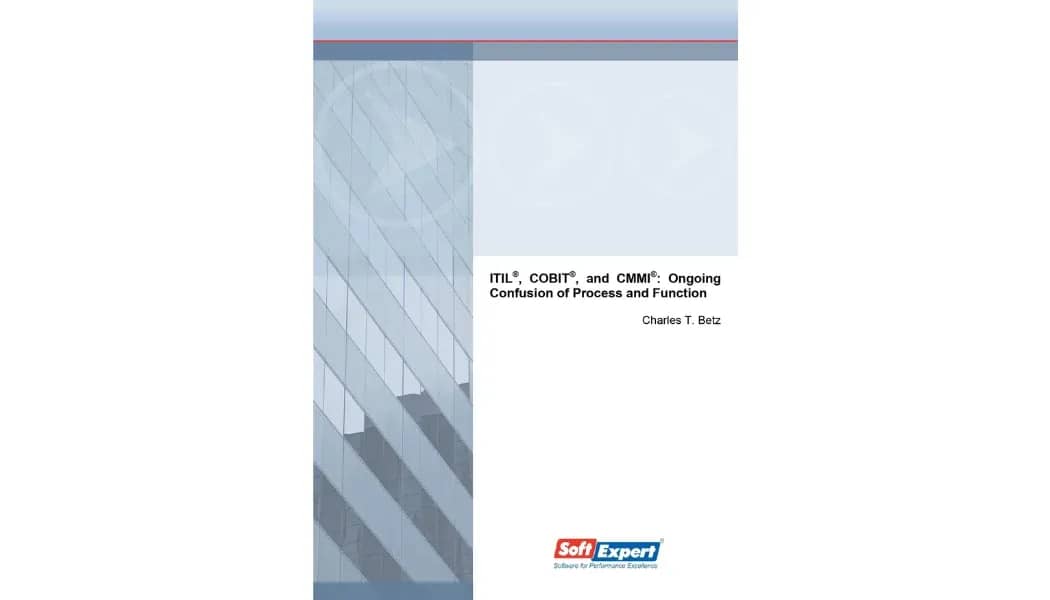 ITIL®, COBIT® and CMMI® Ongoing Confusion of Process and Function.webp