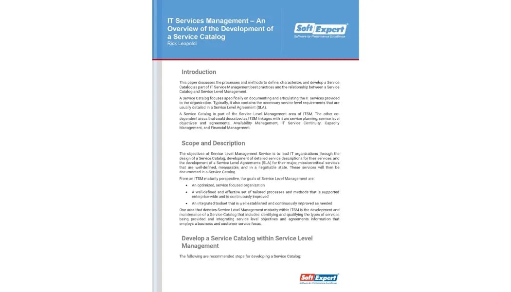 IT Services Management – An Overview of the Development of a Service Catalog.webp