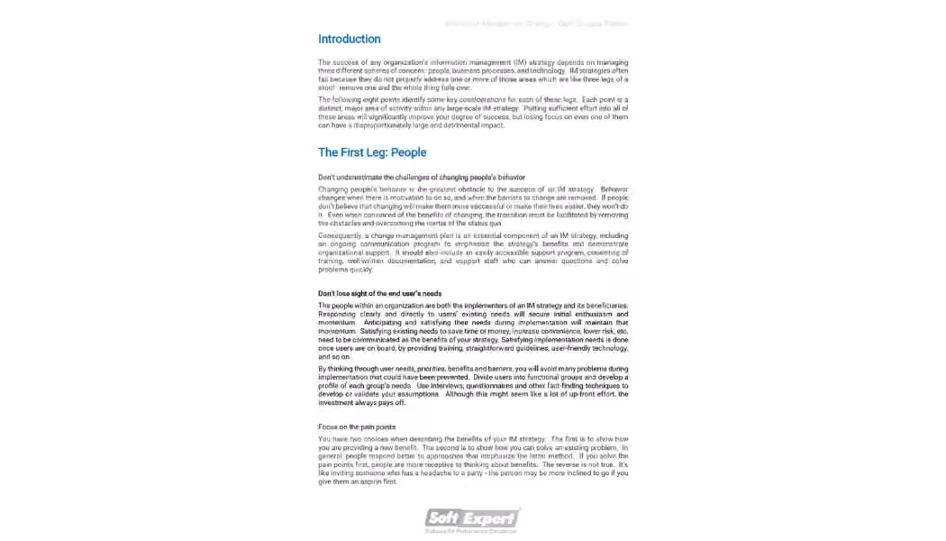 Information Management Strategy Eight Success Factors 1.webp