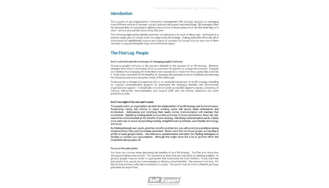 Information Management Strategy Eight Success Factors 1.webp