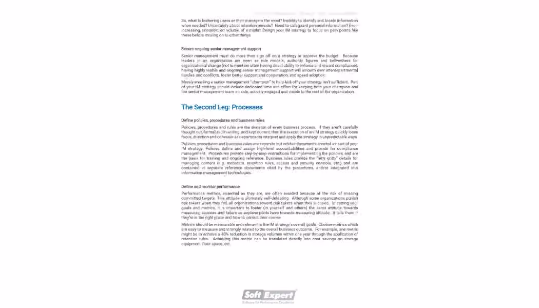 Information Management Strategy Eight Success Factors 2.webp