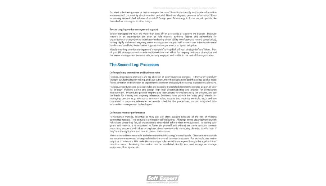 Information Management Strategy Eight Success Factors 2.webp