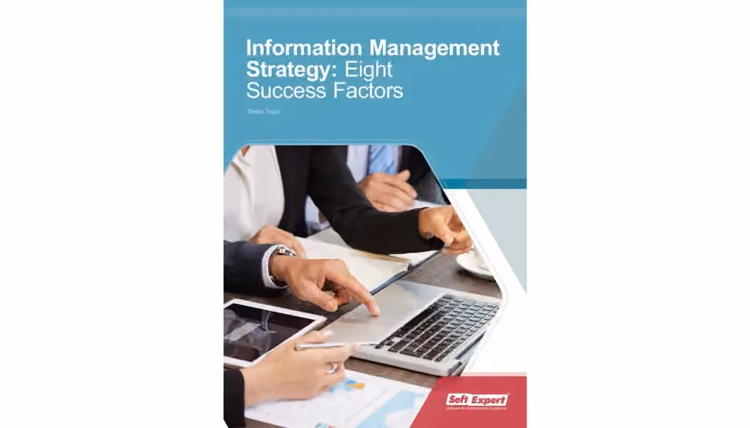 Information Management Strategy Eight Success Factors.webp