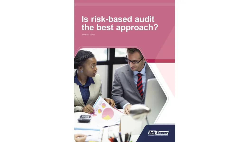 Is Risk-Based Audit the Best Approach.webp
