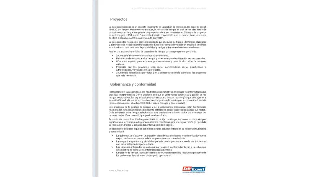 La gestión de riesgos y su papel fundamental para el éxito de la empresa 1.webp