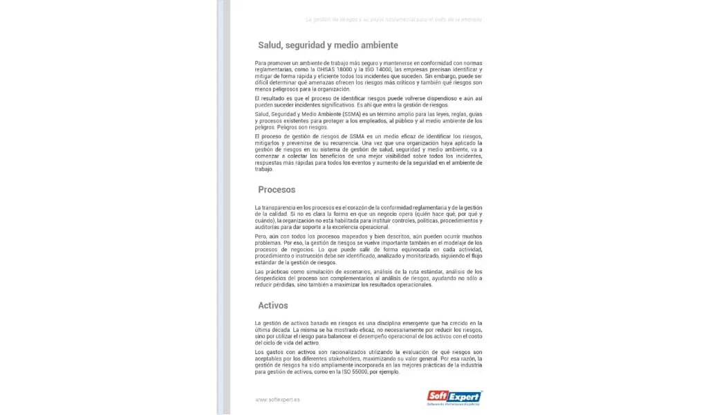 La gestión de riesgos y su papel fundamental para el éxito de la empresa 2.webp
