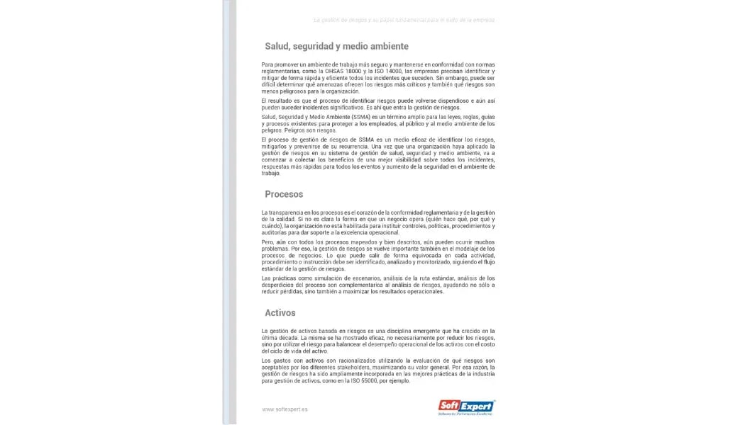 La gestión de riesgos y su papel fundamental para el éxito de la empresa 2.webp