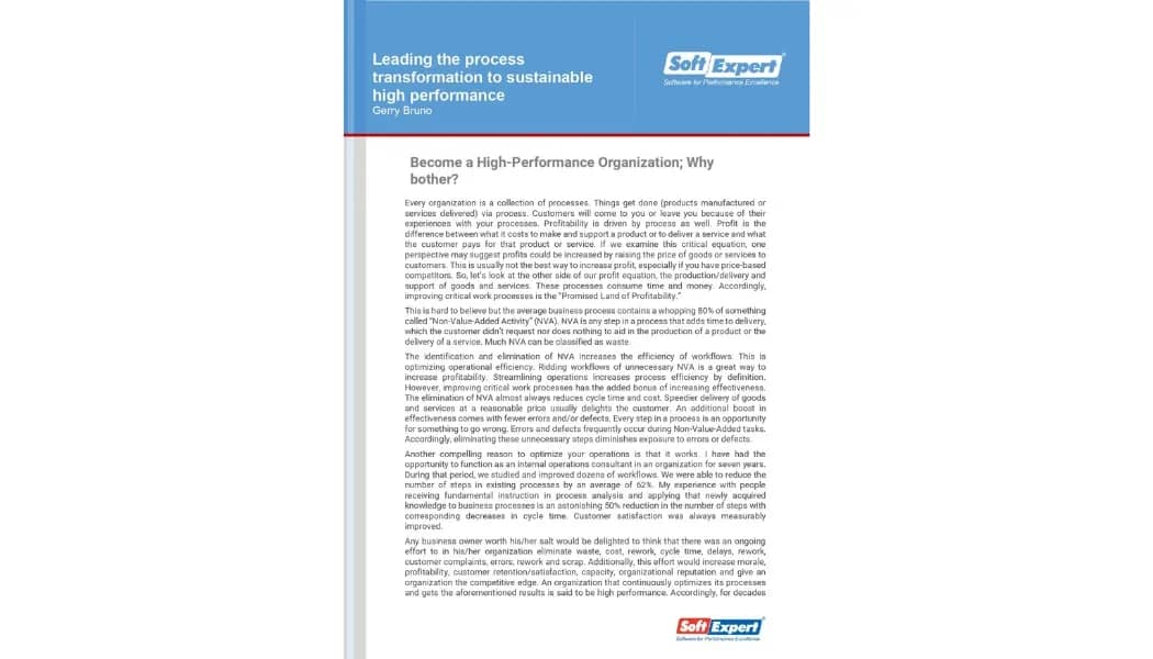 Leading the Transformation Process to Sustainable High Performance 1.webp