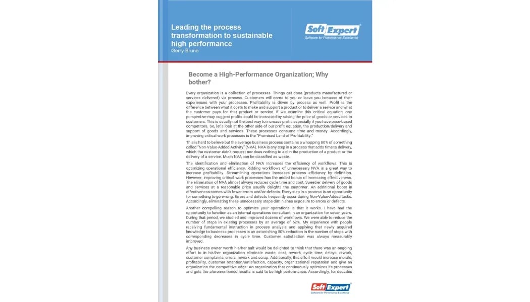 Leading the Transformation Process to Sustainable High Performance 1.webp