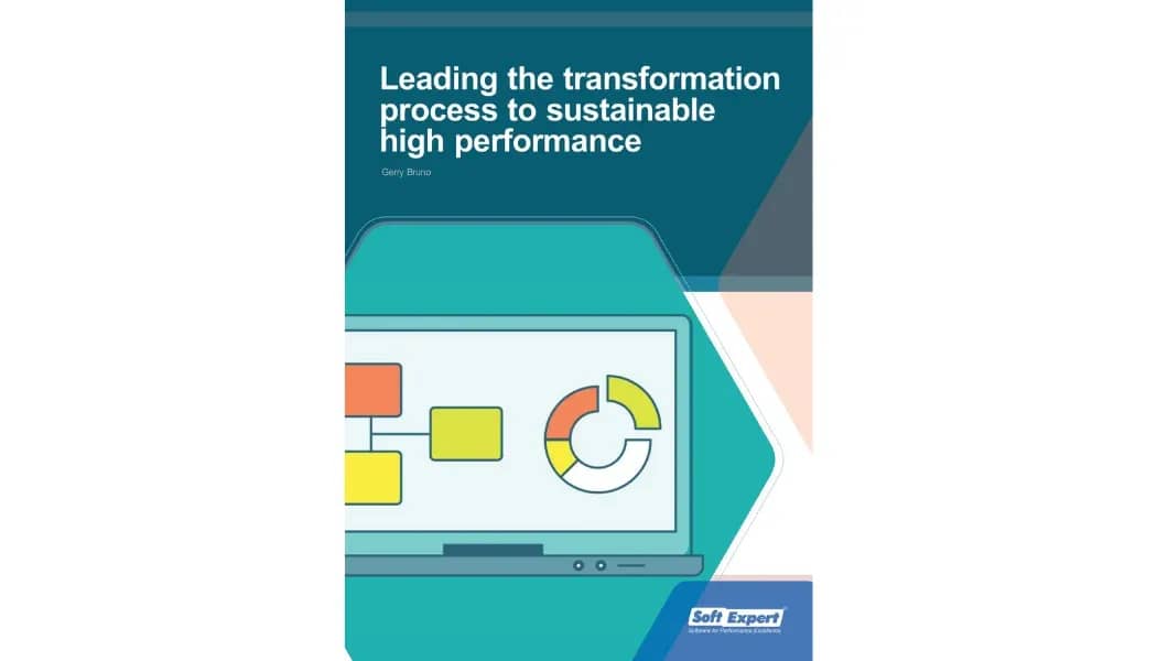 Leading the Transformation Process to Sustainable High Performance.webp