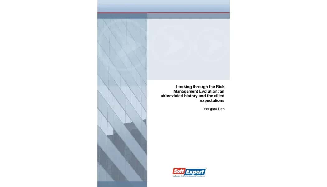 Looking Through the Risk Management Evolution - An Abbreviated History and the Allied Expectations.webp