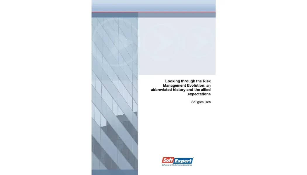 Looking Through the Risk Management Evolution - An Abbreviated History and the Allied Expectations.webp