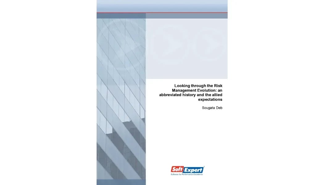 Looking Through the Risk Management Evolution - An Abbreviated History and the Allied Expectations.webp