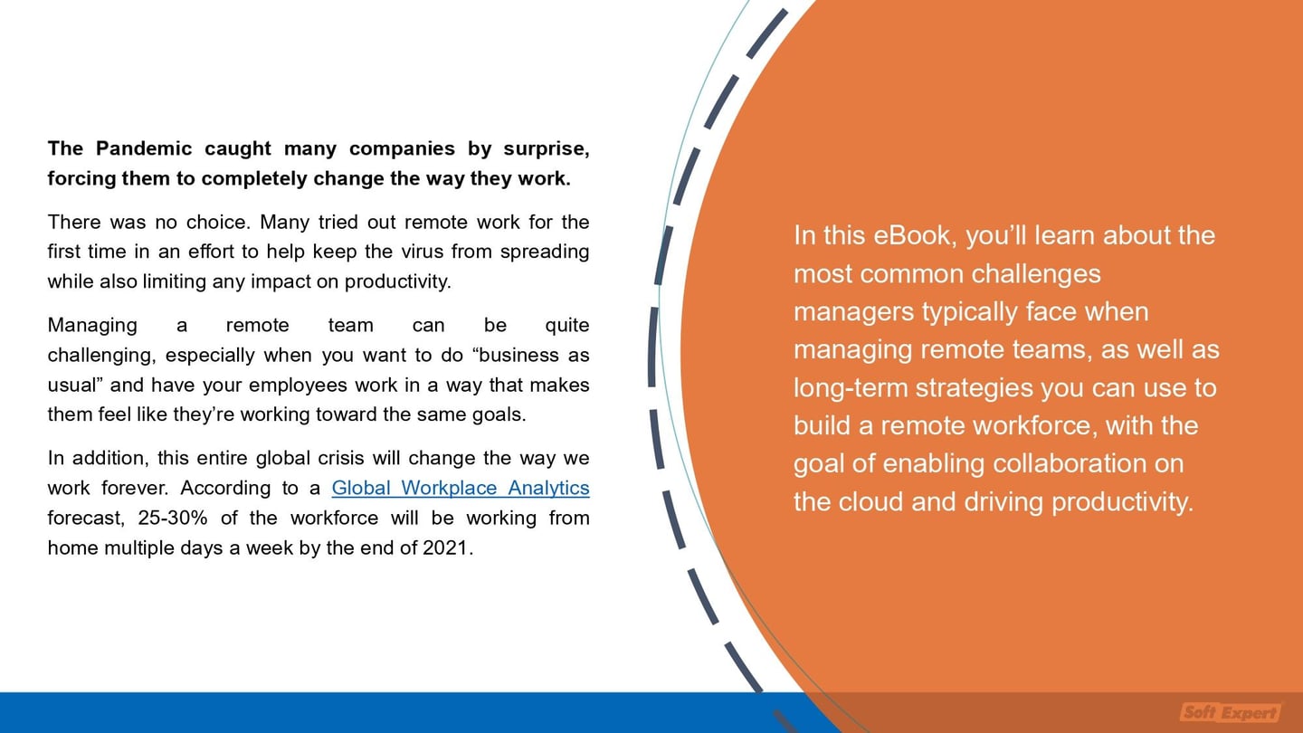 Remote_workforce_management_e_Teams_b96252b7c9_page-0002.jpg