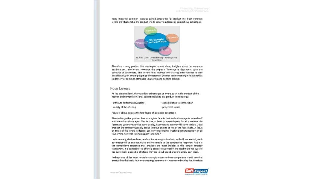 Strategizing, Road Mapping and Executing the Product Line 2.webp