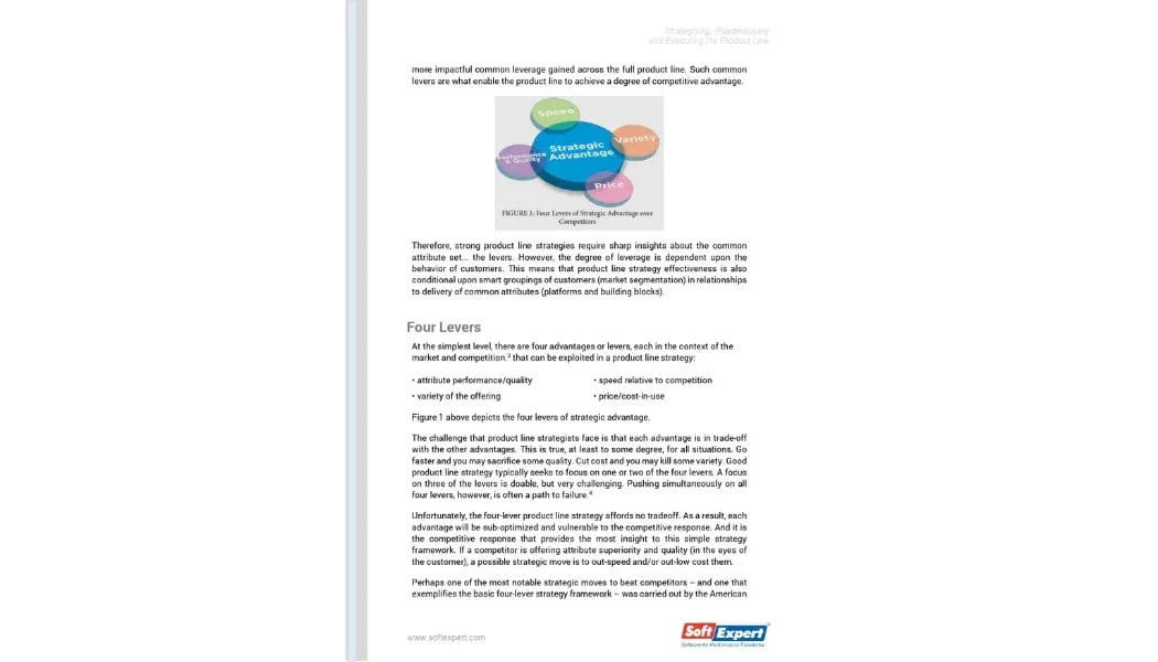 Strategizing, Road Mapping and Executing the Product Line 2.webp