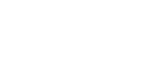 calvo-logo.png