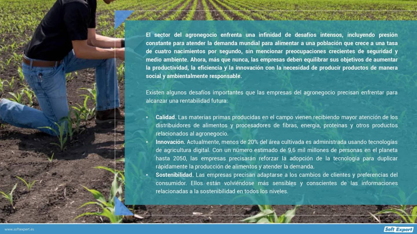 como_promover_transformacion_digital_sector_agronegocio_11482dd4cc_page-0002.webp