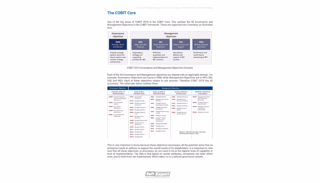 guide_tailoring_governance_system_information_technology_3.png