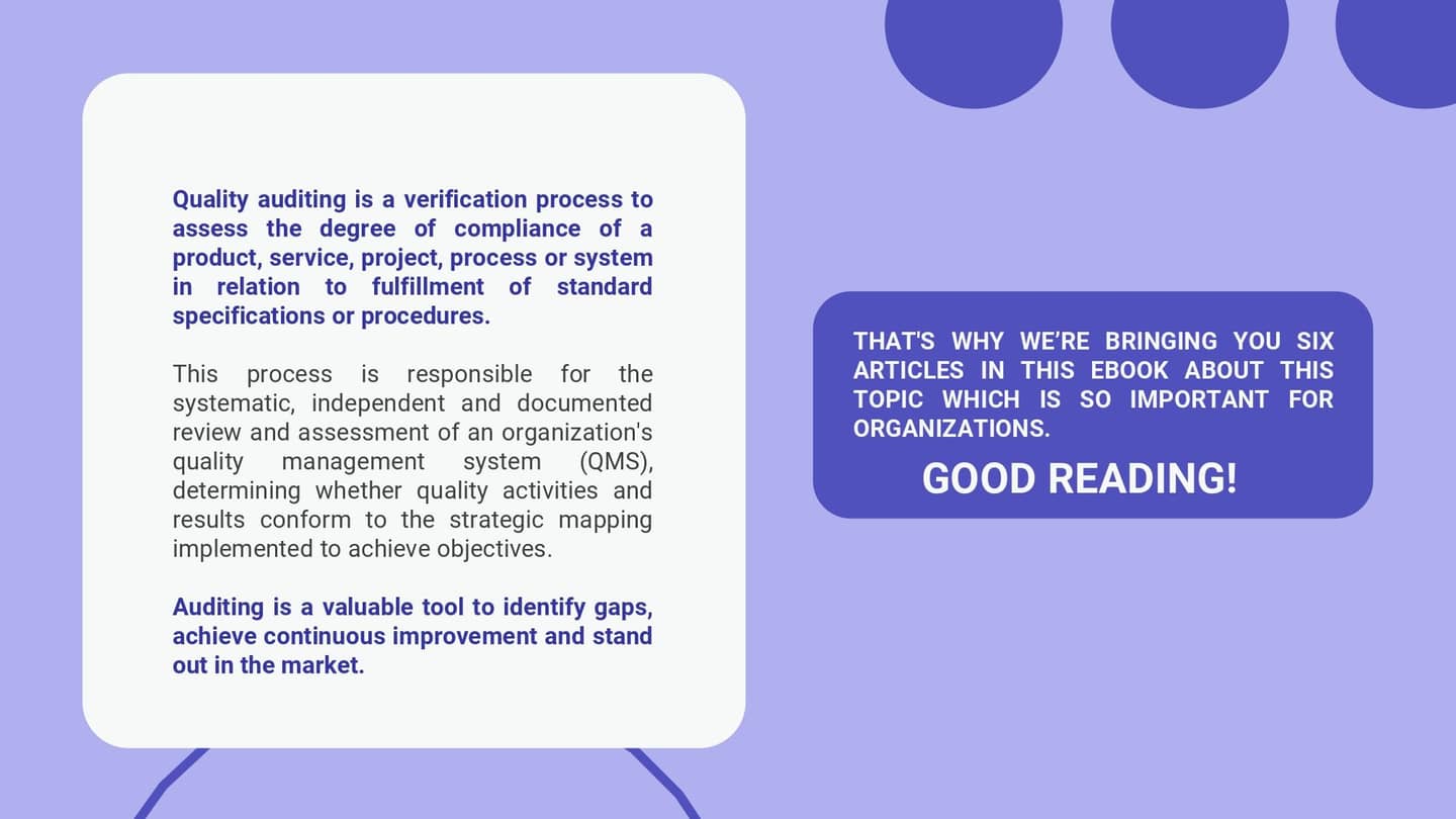 Audit_in_practice_c1435fd621_page-0002.jpg